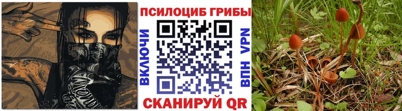 Псилоцибиновые грибы прущие грибы  omg ссылка  Фурманов 
